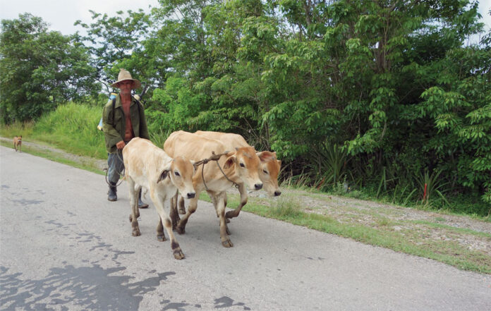 Abastecerse en Cuba, la isla de la escasez