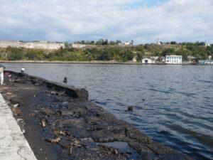 La Bahia de la Habana tiene alta contaminacion, según un estudio