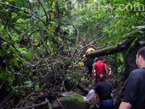 salvar, jungla de panama, selva de panama,