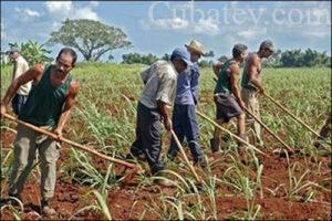 sórdido, económica de cuba, cuba economia, sistema económico de cuba