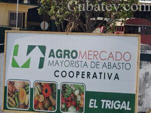 Agricultura, Comercio, Cooperativas, Cuba, Economía, La Habana