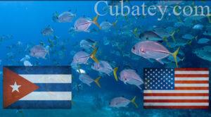 Estados Unidos y Cuba celebran primera reunión de cooperación marítima