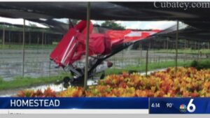 Avión ultraligero se estrella contra Vivero de Homestead