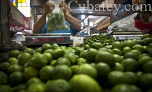 Cuba importará limones y productos agrícolas de México