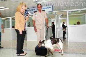 perros-en-aeropuerto-cuba